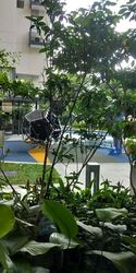 Highline Residences (D3), Condominium #633333461